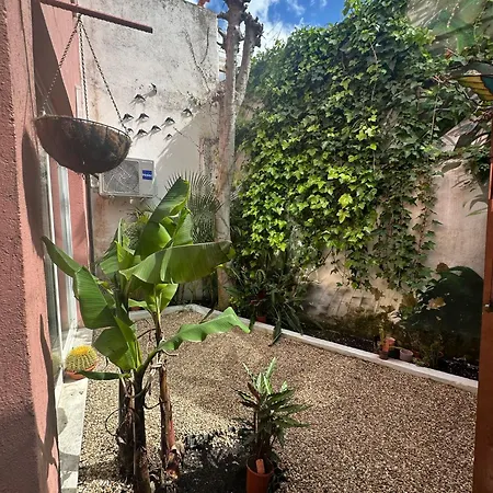 公寓 Azul And Center Lisboa